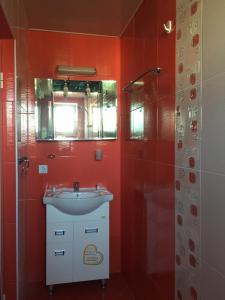パヴェル・バニャにあるTriglav Edelweiss Guest Houseの赤いバスルーム(シンク、シャワー付)
