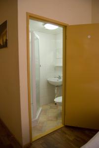 a bathroom with a toilet and a sink at Pension Delfzijl in Delfzijl