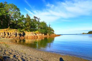 a beach with trees on the shore of a body of water at Diplomat Motel in Nanaimo