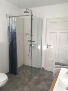 Un baño con ducha de cristal con inodoro. en Schwedenvilla Estelle, en Dörphof