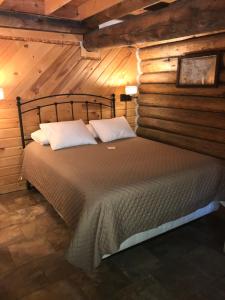 Un dormitorio con una cama en una cabaña de troncos en Judith Mountain Lodge, en Lewistown