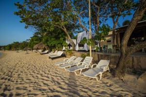 eine Reihe von Chaiselongues am Strand in der Unterkunft Paradise Island Beach Resort in Punta Rucia
