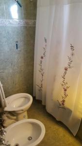 a bathroom with a toilet and a shower curtain at Apart Termal San Ramon in Termas de Río Hondo