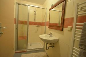 ein Bad mit einem Waschbecken und einer Dusche in der Unterkunft Ferienwohnungen Gruber in Rust