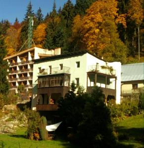 a large white building on a hill with trees at Apartamenty Kaskada in Miedzygorze