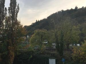 Photo de la galerie de l'établissement Hotel Restaurant Krone, à Nassau