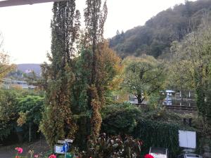 Photo de la galerie de l'établissement Hotel Restaurant Krone, à Nassau