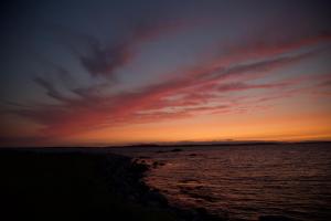 Gallery image of Sand Dollar in Peggy's Cove