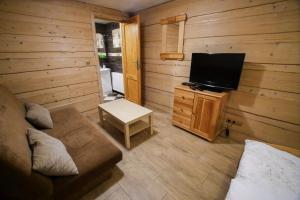 Televízia a/alebo spoločenská miestnosť v ubytovaní Chata pod Skocznią