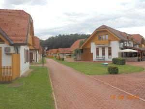 a brick road in a village with houses at Nagelj 1 in Martjanci