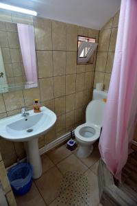 a bathroom with a white sink and a toilet at Casa de Vacanta Neagu in Gura Teghii