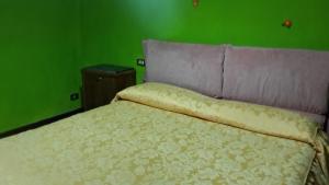 um quarto com uma cama com uma parede verde em Gessy's em Lucca
