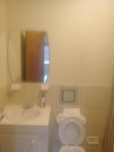 a bathroom with a white toilet and a sink at Sunlight Apts in Mount Thompson