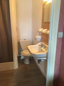 a bathroom with a toilet and a sink at Le Soleil D'or in Vimoutiers