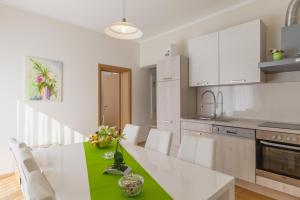 Kuchyň nebo kuchyňský kout v ubytování Apartment Snježana