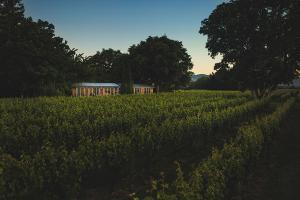 a house in the middle of a field of crops at Walnut Block Cottages in Blenheim