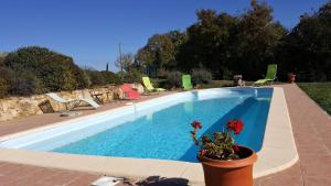 - une piscine avec un pot de fleurs à côté dans l'établissement Gîte Picanas, à Boussan