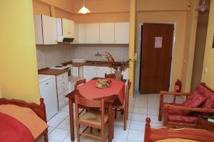 Kuchyň nebo kuchyňský kout v ubytování Argo Apartments