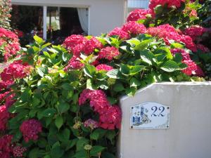 Giardino di Chambres d'hôtes Aux Portes de Bréhat