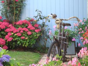 Giardino di Chambres d'hôtes Aux Portes de Bréhat