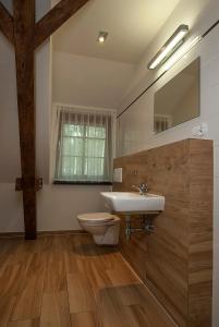 W łazience znajduje się umywalka, toaleta i lustro. w obiekcie Ośrodek Wypoczynkowy Łubu Dubu w mieście Danków