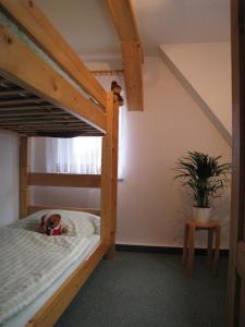 een slaapkamer met een stapelbed en een teddybeer op het bed bij Kammbaude in Hermsdorf