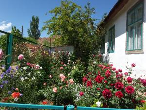 Zahrada ubytování Guest house Elena
