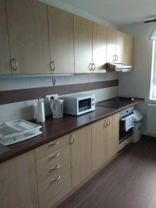 Kuchyňa alebo kuchynka v ubytovaní apartmány pod lesem