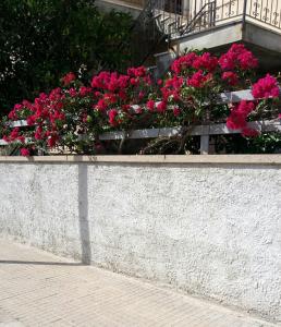 Photo de la galerie de l'établissement Rosy B&B, à Alghero