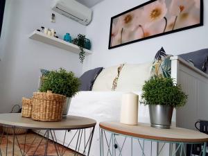 two tables in a living room with two potted plants at Casa del Castillo by Naturadrada in La Adrada
