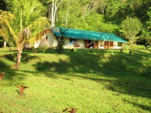 a house with a green roof in a field at Jungle Retreat in Rincón