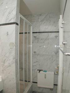 a bathroom with a shower with a glass door at Villa Sirene Whg 4 Königsstuhl - 5 Sterne in Binz