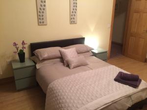 キルキールにあるGreencastleのベッドルーム1室(ピンクの枕が付いた大型ベッド1台付)