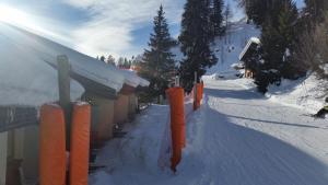 "Chalet le Dahlia - 4 Vallees" v zimě