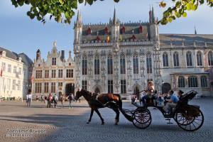 Hosté ubytování ibis budget Brugge Jabbeke