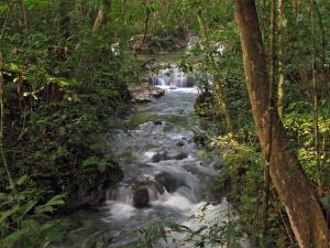 Photo de la galerie de l'établissement Campamento Rio Lacanja, à Lacanjá