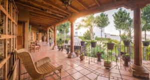 an outdoor patio with chairs and potted plants at Eco Hotel Ixhi in Pátzcuaro
