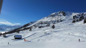 "Chalet le Dahlia - 4 Vallees" v zimě