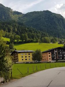 un bâtiment dans un champ avec une montagne en arrière-plan dans l'établissement Appartement Daniel 2 Kaprun, à Kaprun