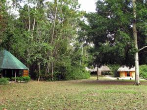a cabin in the middle of a field with trees at Campamento Rio Lacanja in Lacanjá
