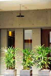 two potted plants sitting in front of a building at Royal House 皇家好宅 in Taitung City