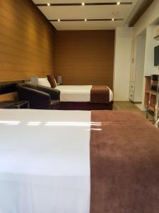 TV a/nebo společenská místnost v ubytování Moura Meridian Motel