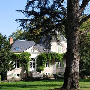 una casa bianca con un albero di fronte di Château de La Villette ad Ardentes
