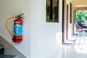 Galeriebild der Unterkunft Lazy Frog Guest House in Cavelossim