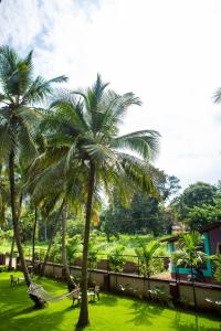 Ein Garten an der Unterkunft Lazy Frog Guest House