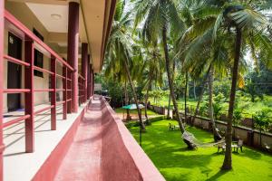 Ein Garten an der Unterkunft Lazy Frog Guest House
