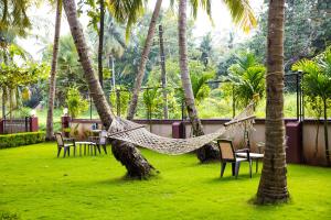 Ein Garten an der Unterkunft Lazy Frog Guest House