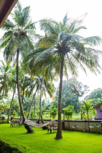Ein Garten an der Unterkunft Lazy Frog Guest House