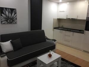Kuchyň nebo kuchyňský kout v ubytování Apartman Jezdić