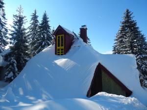ein schneebedecktes Haus mit Bäumen im Hintergrund in der Unterkunft Apartmani Smreka Vlašić in Vlasic